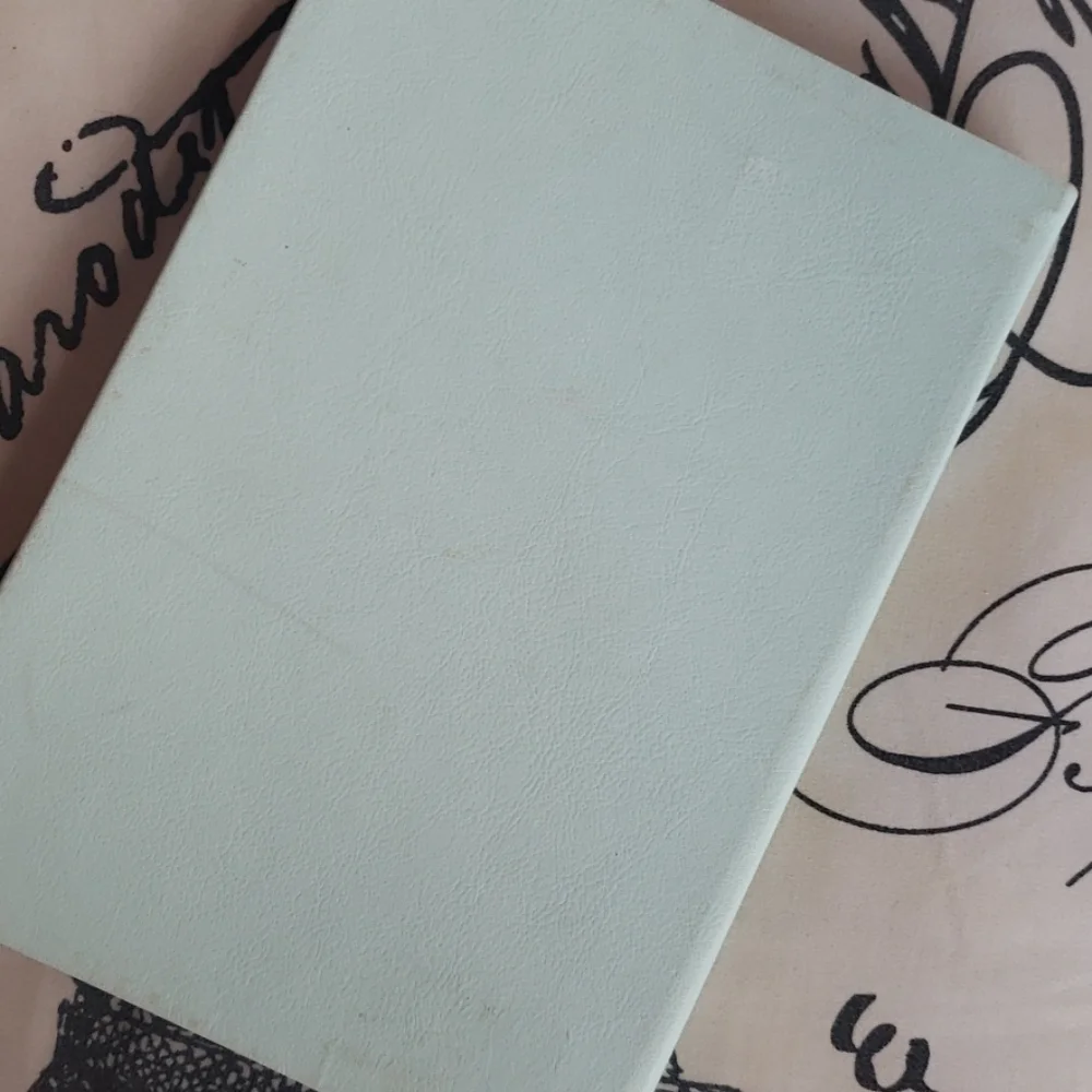 𝅺dayna Lee journal/notebook New